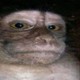 monkemil
