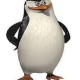 Pingwin_Skipper