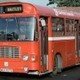 czerwonyautobus