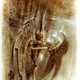 omen_ciemnosci