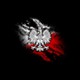 Sebix_FSO
