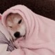 goodgrief