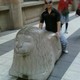wojtas_28