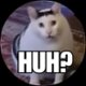 HuhCatReviews