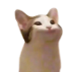 Yoyuu