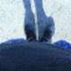 rockatansky_2