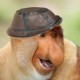 Aeven