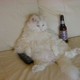 adam_borys2