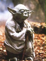 Yoda7