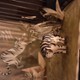 Mateusz_L_00