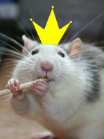 ratress