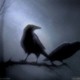 Night_Bird