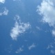wero_2