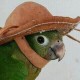 Skracherio
