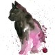 Cezary18_fw