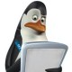 Pingwin_Kowalski