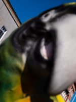 architekturapsychozy