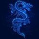 wlosien_2