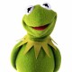 kermit722