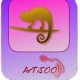 arti500