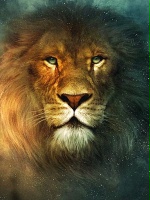 Aslan93