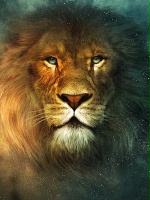 Aslan93