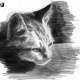 Patt_6