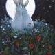 imaginebunny