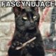 Frodo_pl