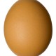 Genep11