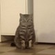 marysia_m04