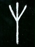 Lomza666