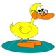 Furious_duck