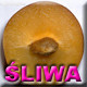 Sliwa_2
