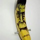 bananowy_ksiaze