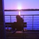 aduu_sparrow