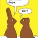 jwpseba_2