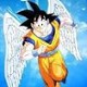 GokuAngel