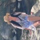 Kourtney23