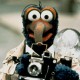 Gonzo_buczy