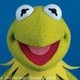 kermit_5