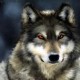 Lycanthropus