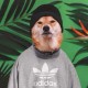 yungkuku