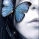 butterfly94