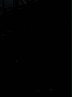 c3976667