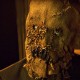 twoface_fan