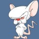 marusz_HD