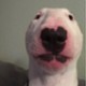 lukaszoo6464