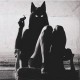 NightFury_