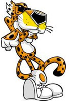 gepard_6